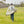 SUNDAY GOLF RYDER S-CLASS