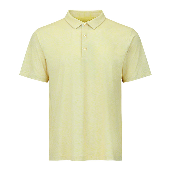 Dynamic Polo